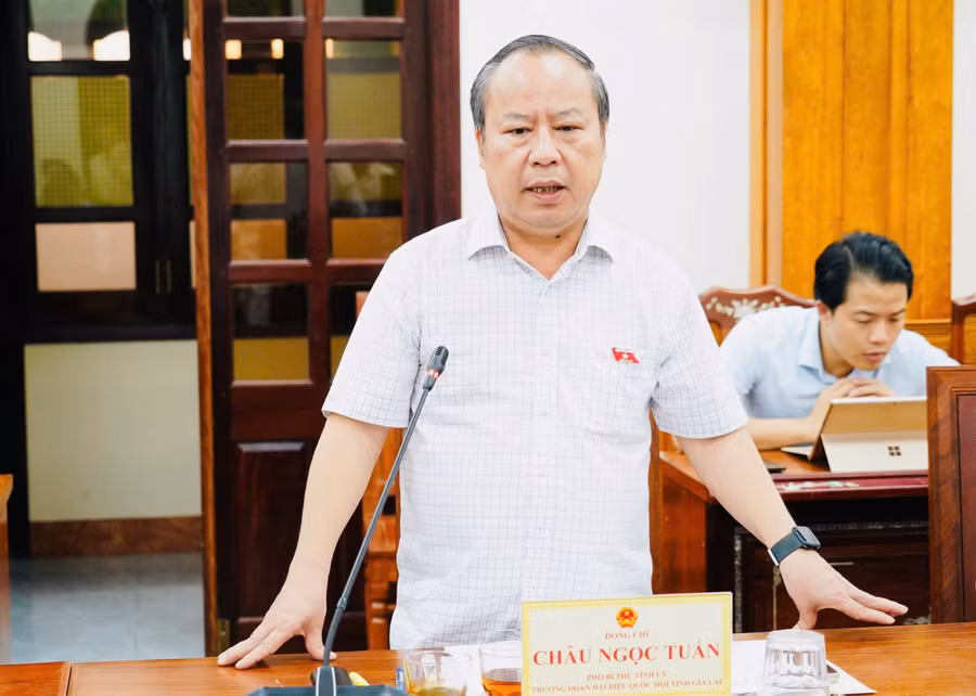 pho-bi-thu-tinh-uy-truong-doan-dbqh-tinh-chau-ngoc-tuan-phat-bieu-6163.jpg