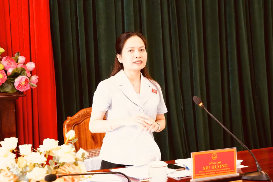 doan-dbqh-tinh-gia-lai-giam-sat-viec-quan-ly-su-dung-tai-san-cong-tai-phuong-an-khe.jpg