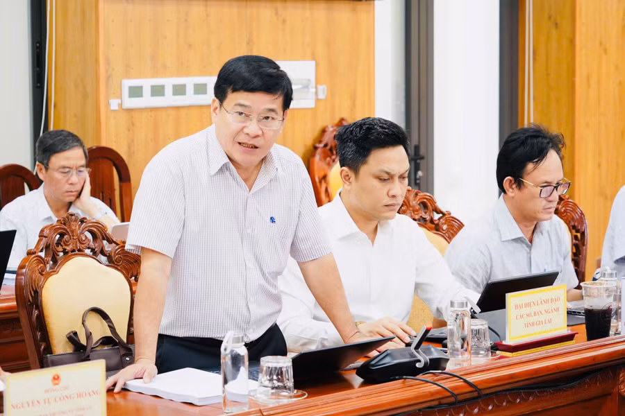 dai-dien-lanh-dao-so-tai-chinh-bao-cao-tinh-hinh-trien-khai-thuc-hien-cac-du-an-dau-tu-ngoai-ngan-sach-nha-nuoc.jpg