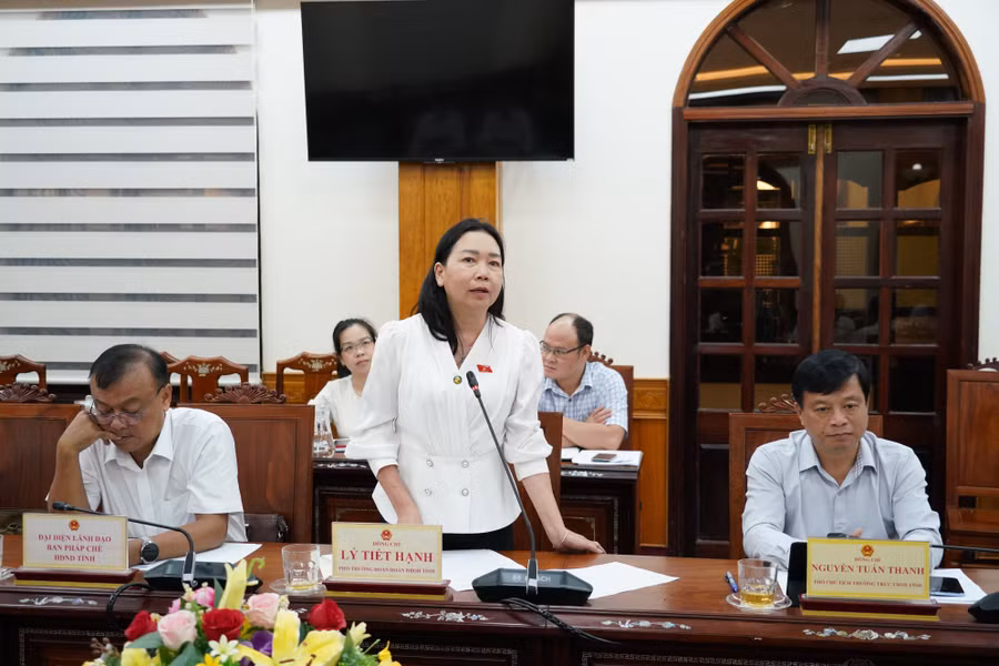 pho-truong-doan-chuyen-trach-doan-dbqh-tinh-gia-lai-ly-tiet-hanh-phat-bieu.jpg