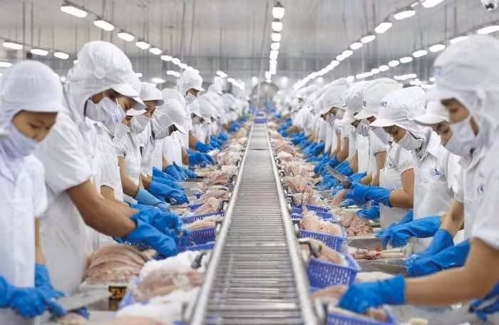 Vĩnh Hoàn (VHC) bị HoSE nhắc nhở do chậm nộp báo cáo tài chính quý I-2024