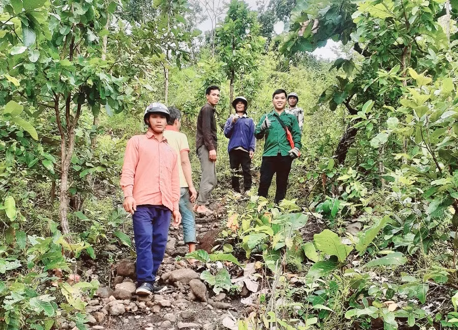 Thời gian qua, nhờ triển khai giao khoán bảo vệ rừng cho cộng đồng dân cư, tài nguyên rừng trên địa bàn lâm phần do ban Quản lý rừng phòng hộ Chư Sê được quản lý tốt hơn. Ảnh: Lê Nam Thời gian qua, nhờ triển khai giao khoán bảo vệ rừng cho cộng đồng dân cư, tài nguyên rừng trên địa bàn lâm phần do ban Quản lý rừng phòng hộ Chư Sê được quản lý tốt hơn. Ảnh: Lê Nam