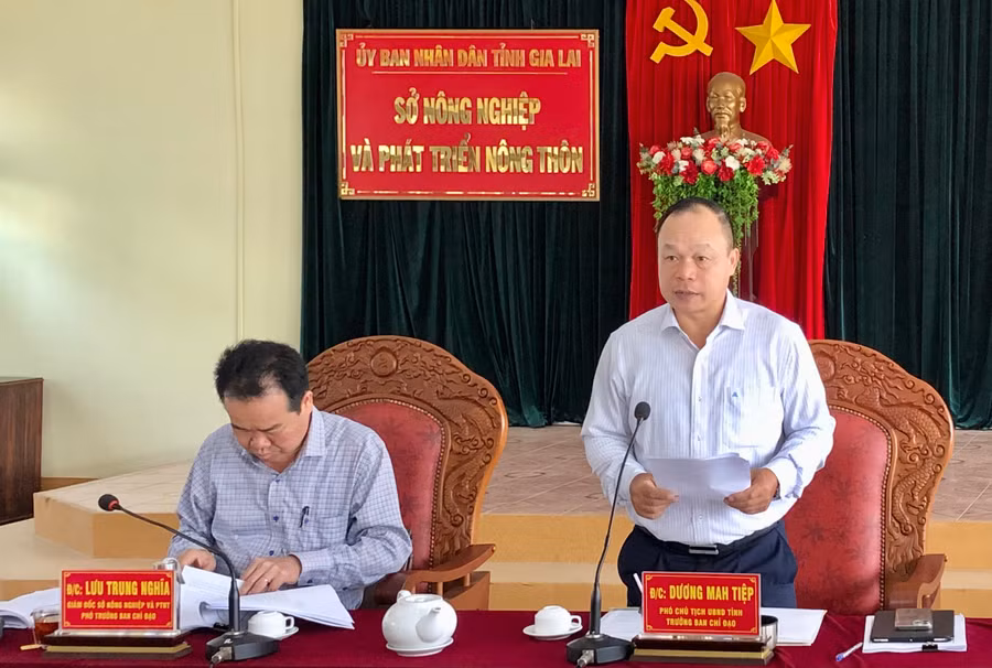 Đồng chí Dương Mah Tiệp-Phó Chủ tịch UBND, Trưởng Ban Chỉ đạo Chương trình phát triển lâm nghiệp bền vững tỉnh phát biểu chỉ đạo cuộc họp. Ảnh: Lê Nam