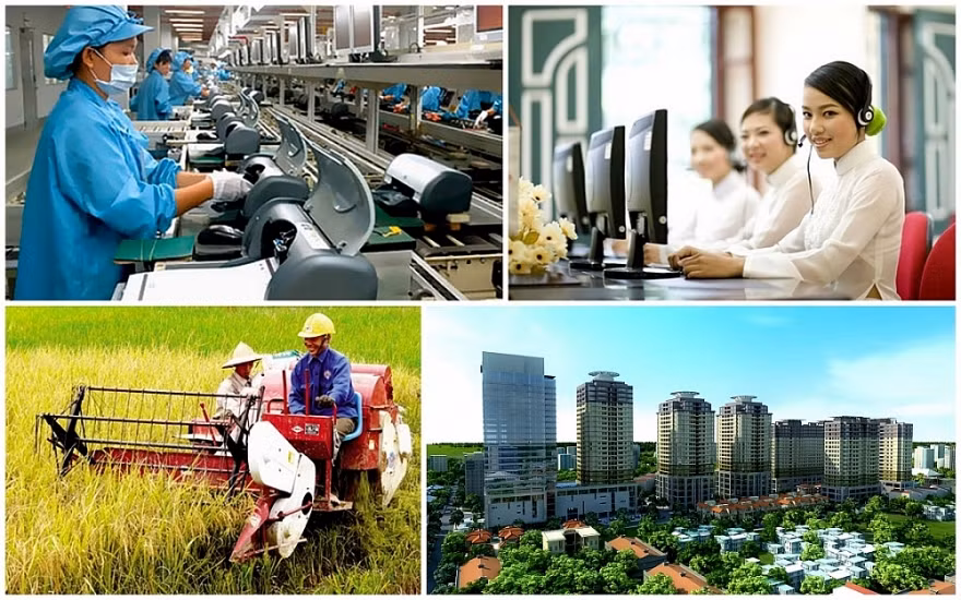Sau khi gia nhập CPTPP, Vương quốc Anh sẽ công nhận các ngành sản xuất của Việt Nam hoạt động theo các điều kiện kinh tế thị trường