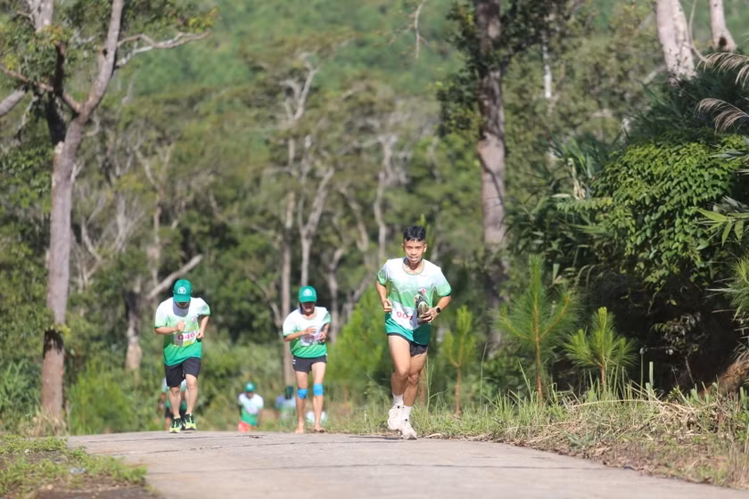 Các runner sẽ có cơ hội tranh tài ở cung đường giữa rừng tại giải chạy này. Ảnh: Văn Ngọc