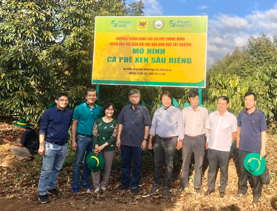 Các chuyên gia, nhà khoa học tham quan và kiểm tra mô hình cà phê xen sầu riêng tại xã Ia Nhin, huyện Chư Păh. Ảnh: Lê Nam