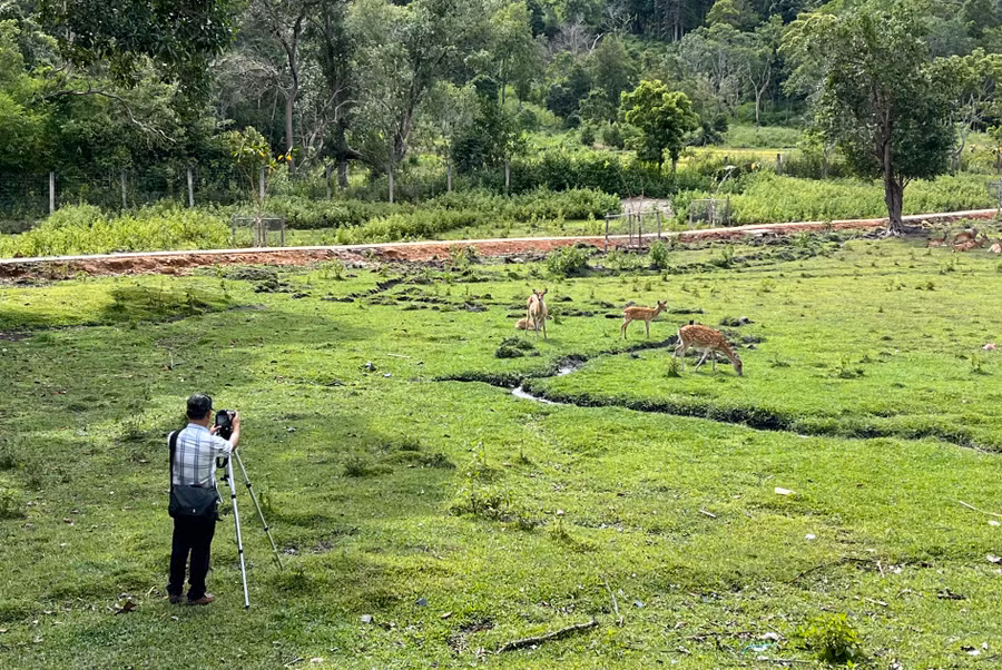 Kiểm soát chặt chẽ hoạt động gây nuôi động vật hoang dã là một trong những mục tiêu mà tỉnh Gia Lai đặt ra trong giai đoạn 2023-2025. Ảnh: Phương Vi Kiểm soát chặt chẽ hoạt động gây nuôi động vật hoang dã là một trong những mục tiêu mà tỉnh Gia Lai đặt ra trong giai đoạn 2023-2025. Ảnh: Phương Vi