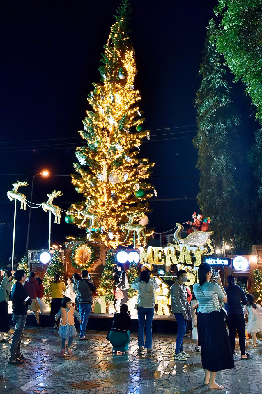 Cây thông Noel tại Khách sạn Hoàng Anh Gia Lai có chiều cao khoảng 5 m, được trang trí lộng lẫy với nhiều quả cầu, dây chuông và đèn điện.