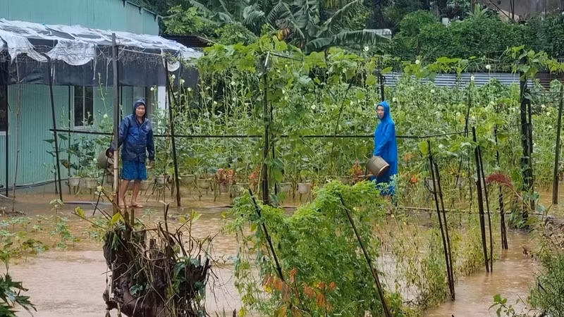 Nhiều diện tích hoa màu của người dân tại tổ 3, phường Phù Đổng bị ngập nước. Ảnh: Sang Phương