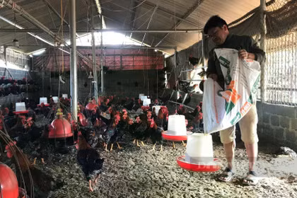 Khai giảng 2 lớp đào tạo nghề cho nông dân, cựu chiến binh xã An Nhơn Tây