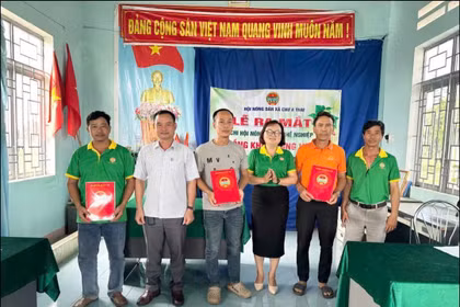 Ra mắt Chi hội nông dân nghề nghiệp trồng khoai lang Nhật thôn Hải Yên. Ảnh: ĐVCC