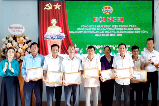 Hơn 2.400 hộ nông dân Chư Sê có thu nhập từ 100 triệu đồng/năm trở lên
