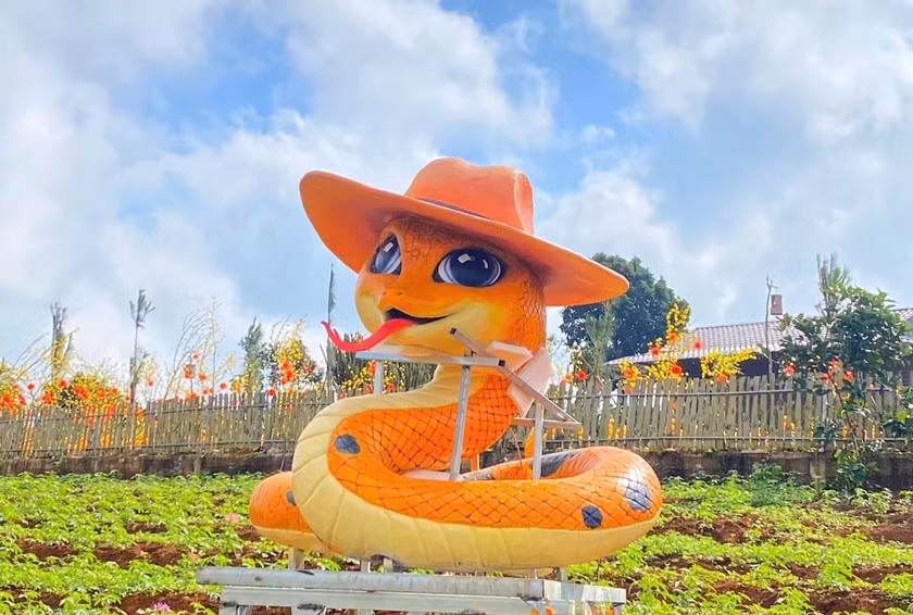 2-quang-tri.jpg