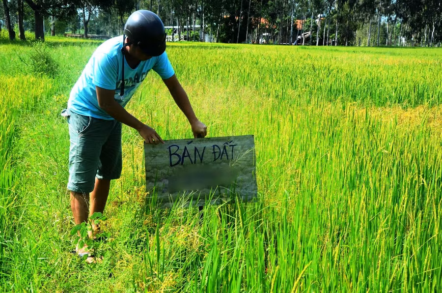 dd1-dat-nong-nghiep-trong-lua-duoc-chia-lo-ban-met-ngang-theo-dang-dat-o.jpg