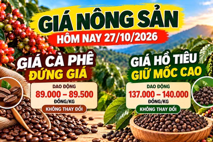 Giá nông sản hôm nay 27/10: Cà phê đứng giá dưới 90.000 đồng/kg