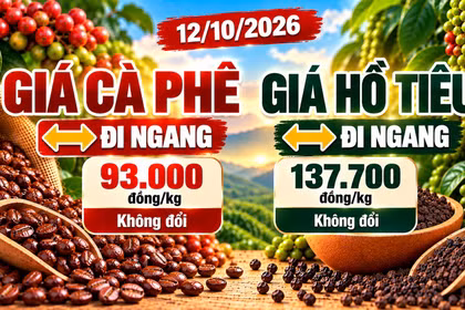 Giá cà phê, hồ tiêu hôm nay 12/10: Hai mặt hàng cùng đi ngang