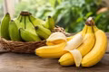 Lợi ích của việc ăn chuối mỗi ngày