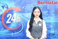 Gia Lai 24h: Thời tiết bất lợi, nguy cơ mất mùa sầu riêng