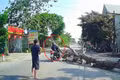 Thông tin mới nhất vụ cưa cây làm chết người: Gia đình nạn nhân mong giảm nhẹ hình phạt