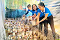 Đồng hành cùng phụ nữ phát triển kinh tế