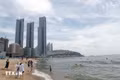 5 phim của Việt Nam dự Liên hoan phim Busan ở Hàn Quốc