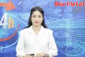 Gia Lai 24h: Gỡ khó về vốn giúp hợp tác xã mở rộng sản xuất kinh doanh