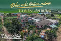 Dấu nối trăm năm từ biển lên rừng
