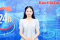 Gia Lai 24h: Minh bạch sản xuất-điều kiện bắt buộc để trái cây tươi xuất ngoại 