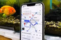 Vì sao nên ngừng chọn tuyến đường nhanh nhất trên Google Maps?