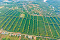 Mùa thu vàng ở thung lũng Kon Gang 