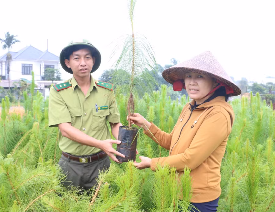 cac-don-vi-chuc-nang-lam-tot-cong-tac-phoi-hop-trong-kiem-tra-thao-go-vuong-mac-ve-dat-dai-tao-moi-dieu-kien-thuan-loi-de-cac-nha-dau-tu-anh-qt-4702-7721.jpg