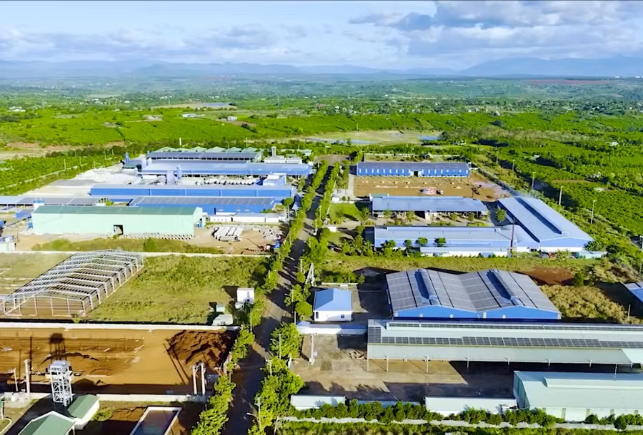 mot-goc-kcn-tra-da-pleiku-anh-hd-7549.jpg