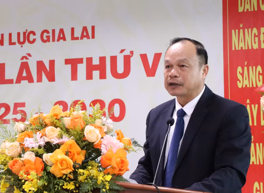 pho-chu-tich-ubnd-tinh-duong-mah-tiep-ghi-nhan-bieu-duong-nhung-ket-qua-dang-bo-cong-ty-dien-luc-gia-lai-da-dat-duoc-anh-ha-duy.jpg