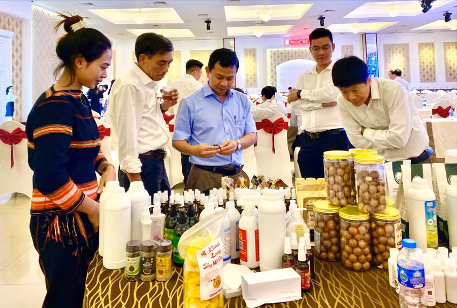 cac-san-pham-co-xuat-xu-tu-gia-lai-bang-nhung-net-rieng-biet-cung-dang-tung-buoc-dinh-vi-thuong-hieu-cua-minh-anh-ha-duy-1206.jpg
