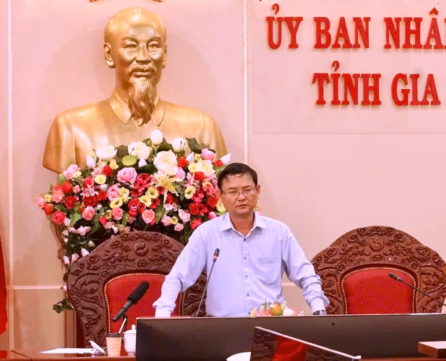 pho-chu-tich-ubnd-tinh-nguyen-tu-cong-hoang-phat-bieu-tai-buoi-lam-viec-anh.jpg