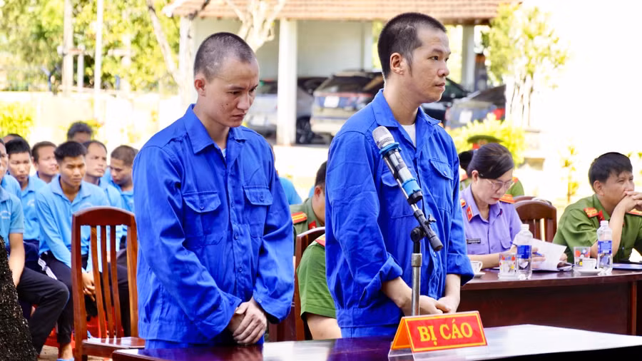gia-lai-xet-xu-luu-dong-toi-pham-ma-tuy-3.jpg