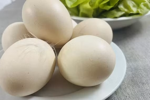 Người cholesterol máu cao và tăng huyết áp ăn được trứng không?