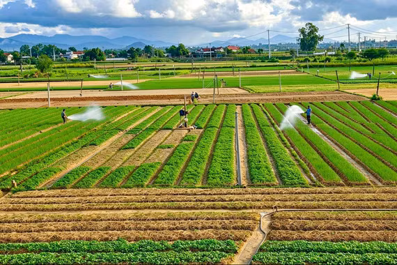 Nghề xưa vẫn chảy bên dòng sông Côn