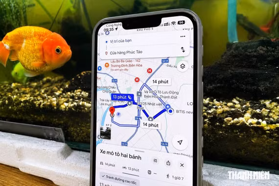 Vì sao nên ngừng chọn tuyến đường nhanh nhất trên Google Maps?