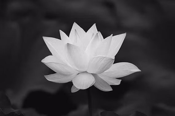 Chia buồn: Cụ bà Nguyễn Thị Ở, hưởng thượng thọ 89 tuổi