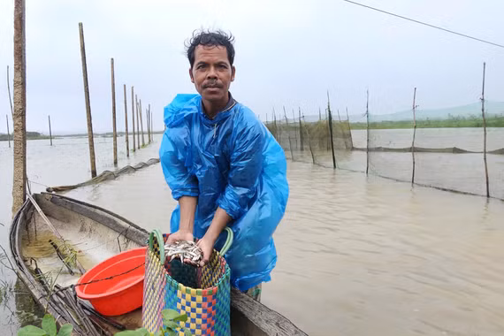 Mùa giăng lưới trên những cánh đồng vùng cao