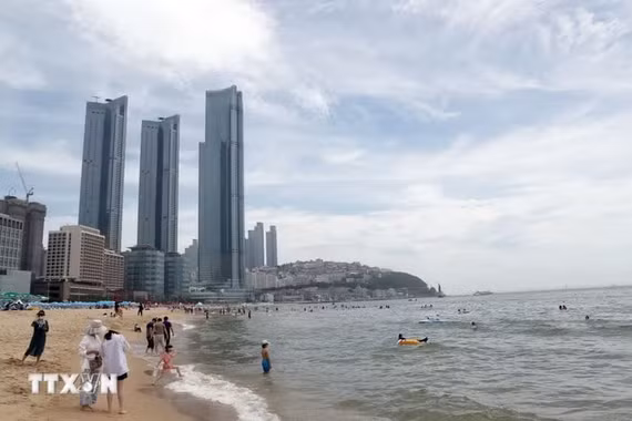 5 phim của Việt Nam dự Liên hoan phim Busan ở Hàn Quốc
