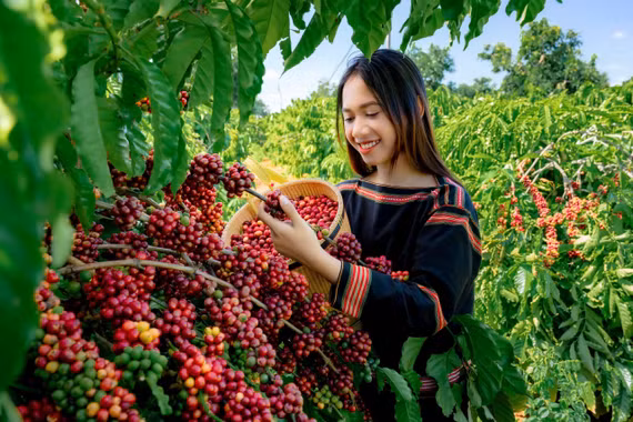 Nông dân thi đua làm giàu, phát triển nông thôn