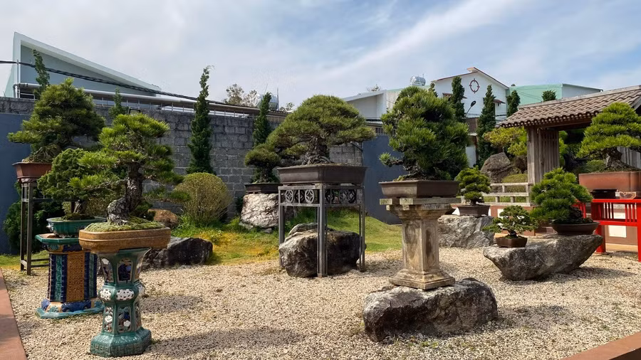 z6456044915010-8eebf948bdd88895e1f424f68ca10770.jpg