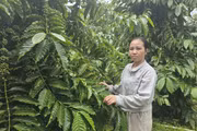Phụ nữ Ia Khươl vượt qua khuôn mẫu, tự tin vươn lên