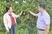 Nông dân xã Tơ Tung, tỉnh Gia Lai chuyển đổi cây trồng vật nuôi phát triển kinh tế