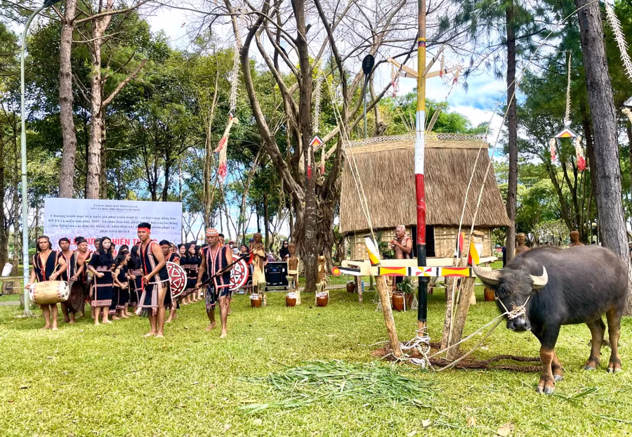 du-lich-sinh-thai-van-hoa-tay-nguyen-cong-chieng-di-san-lich-su-va-du-lich-nong-nghiep-cung-duoc-chu-trong-phat-trien.jpg