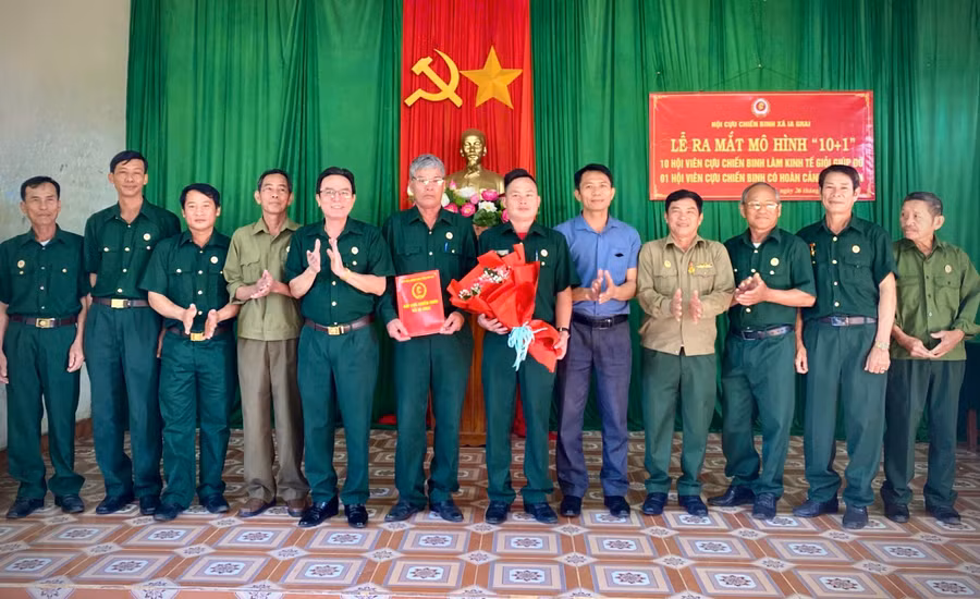 ra-mat-mo-hinh.jpg
