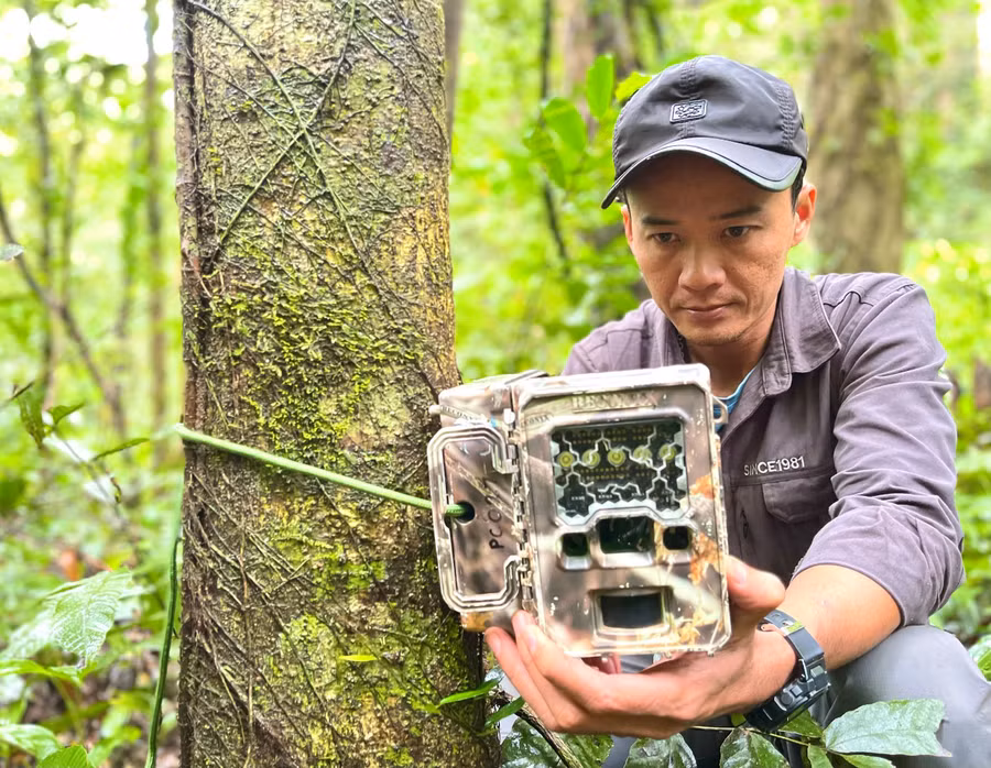 thong-qua-viec-ho-tro-dat-bay-anh-anh-nguyen-ai-tam-con-giup-vuon-quoc-gia-kon-ka-kinh-ghi-nhan-duoc-32-loai-dong-vat-hoang-da-quy-hiem-nam-trong-sach-do-viet-nam-va-the-gioi.jpg