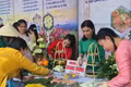 Đặc sắc Hội thi bánh dân gian nhân Lễ giỗ Hoàng đế Quang Trung lần thứ 234